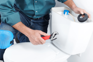 Toilet Repair Cardiff